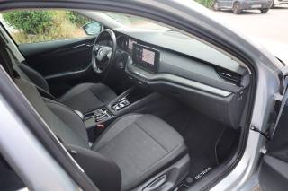 SKODA Octavia usata 146