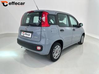 FIAT Panda usata, con Autoradio