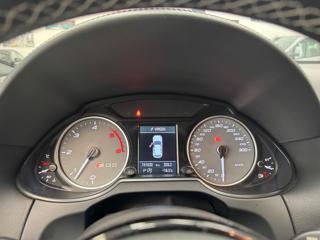 AUDI SQ5 usata, con Fendinebbia