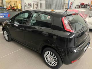FIAT Punto usata 11