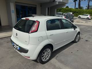 FIAT Punto Evo usata, con Airbag Passeggero