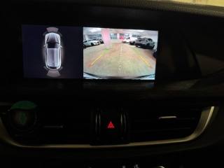 ALFA ROMEO Stelvio usata, con Fendinebbia
