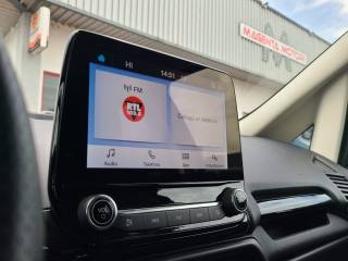 FORD EcoSport usata, con Fendinebbia
