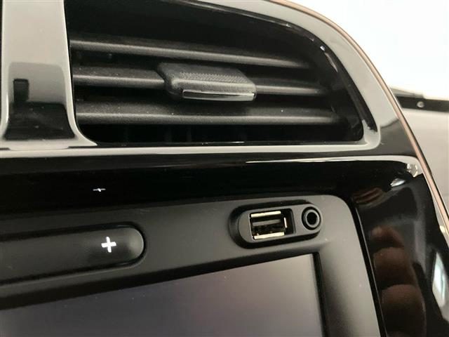 DACIA Spring usata 25