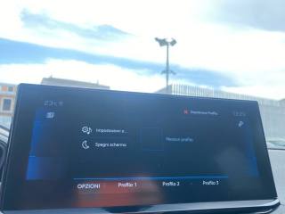 PEUGEOT 3008 usata, con Chiusura centralizzata