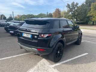 LAND ROVER Range Rover Evoque usata, con Airbag laterali
