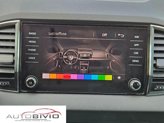 SKODA Karoq usata, con Monitoraggio pressione pneumatici