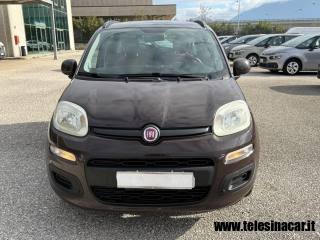 FIAT Panda usata 2