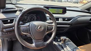 LEXUS UX 250h usata, con Regolazione elettrica sedili