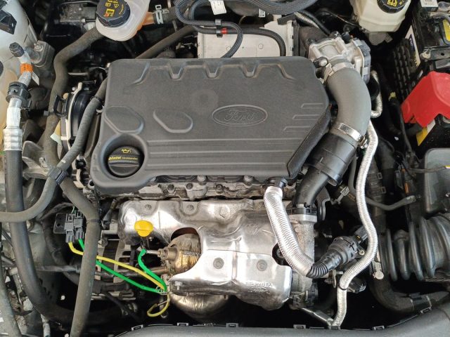 FORD Focus usata, con Fari LED