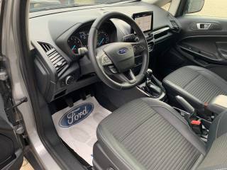 FORD EcoSport usata, con Servosterzo