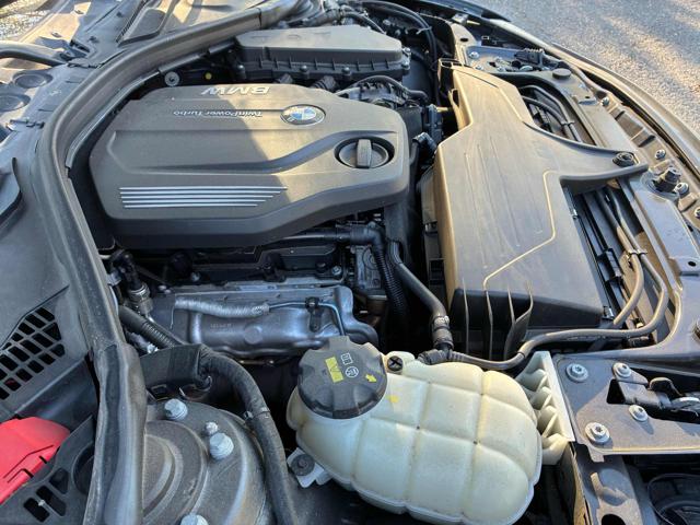 BMW 318 usata, con Fendinebbia