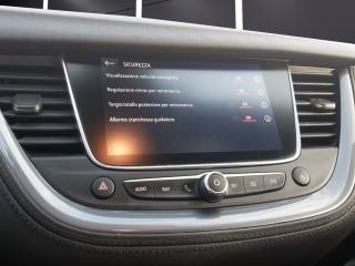 OPEL Grandland X usata, con Fendinebbia