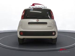 FIAT Panda usata 6