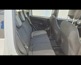 FIAT New Panda usata 14