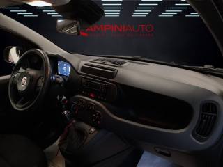 FIAT Panda usata 19