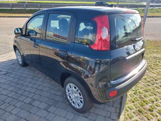 FIAT Panda usata, con Alzacristalli elettrici