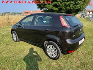 FIAT Punto usata 4