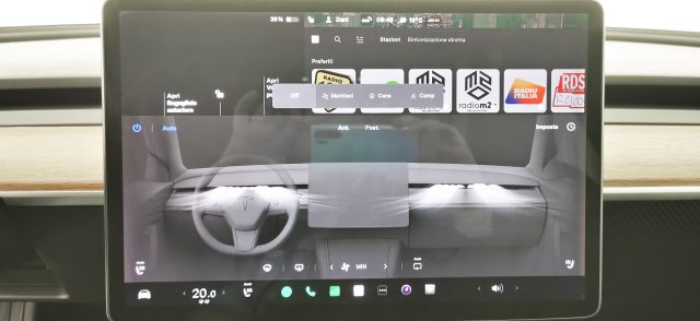 TESLA Model 3 usata 79