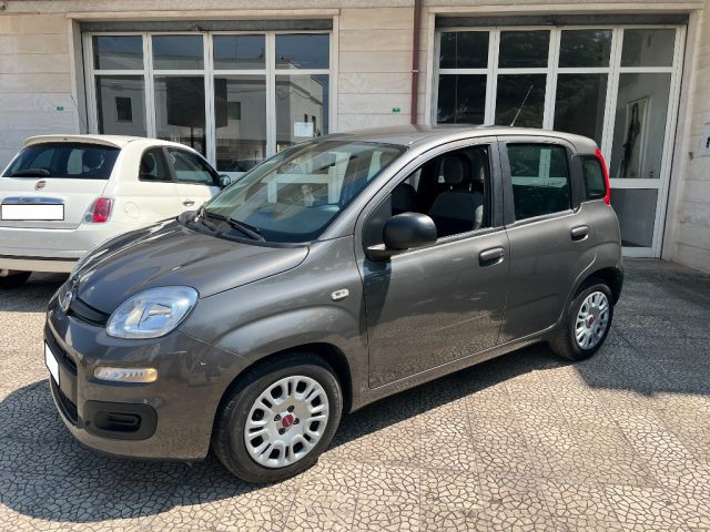 FIAT Panda usata 6