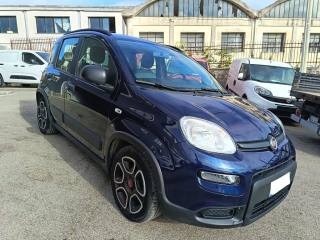 FIAT Panda usata 1