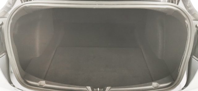 TESLA Model 3 usata, con Sedili riscaldati
