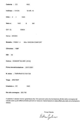 SKODA Fabia usata 48