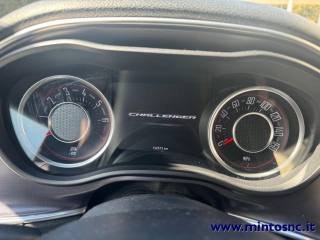 DODGE Challenger usata, con Cruise Control