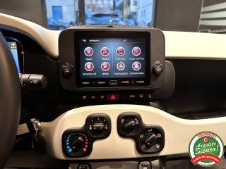 FIAT Panda usata, con Cruise Control