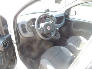 FIAT Panda usata, con Airbag testa
