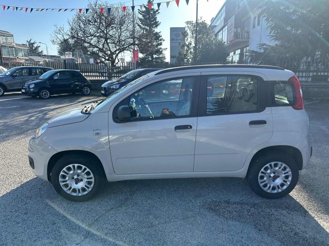FIAT Panda usata, con Fendinebbia