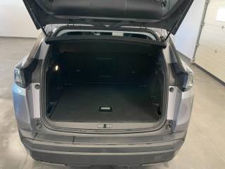 PEUGEOT 3008 usata, con Cronologia tagliandi