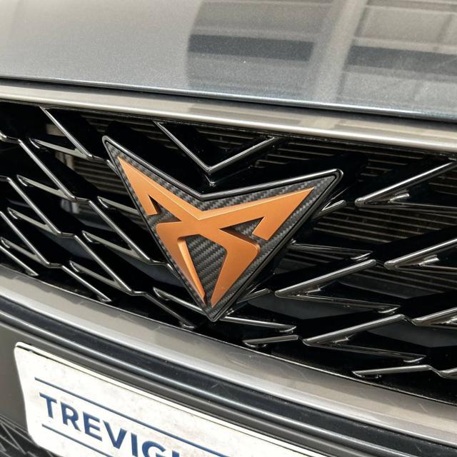 CUPRA Leon usata, con Autoradio digitale