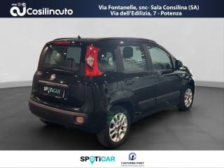 FIAT Panda usata, con Alzacristalli elettrici