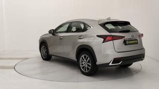 LEXUS NX 300h usata, con Airbag laterali