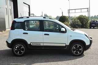 FIAT Panda Cross usata, con Alzacristalli elettrici