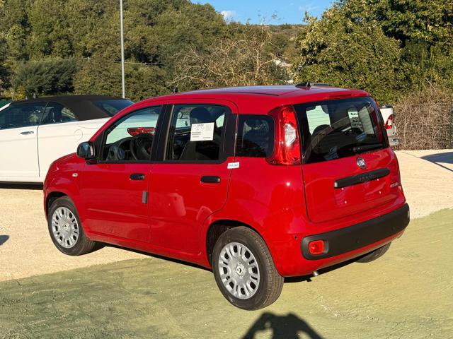 FIAT Panda usata, con Antifurto