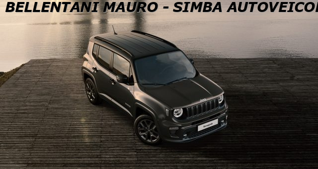 JEEP Renegade usata, con Cerchi in lega