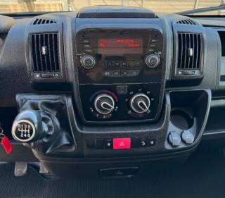 FIAT  usata 8