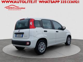 FIAT Panda usata, con Alzacristalli elettrici