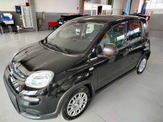 FIAT Panda usata 13