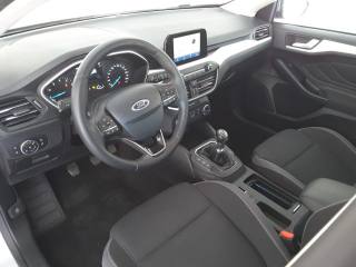 FORD Focus usata, con Autoradio