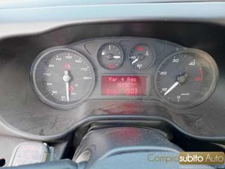 IVECO Daily usata 14