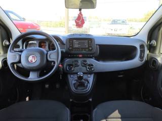 FIAT Panda usata 4