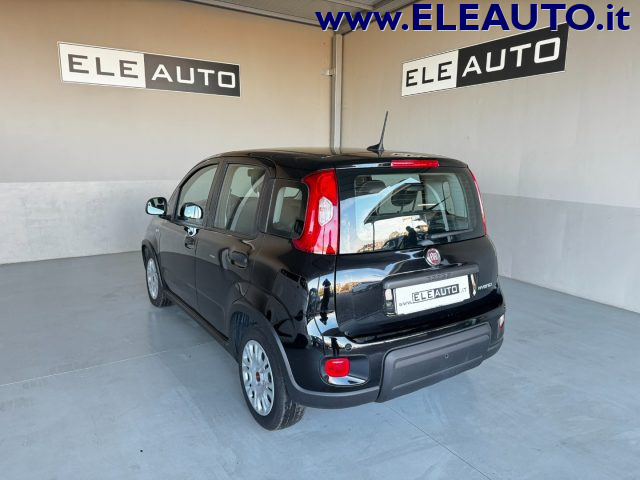 FIAT Panda usata, con Alzacristalli elettrici