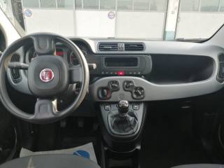 FIAT Panda usata 14
