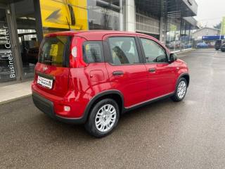 FIAT Panda usata, con Airbag Passeggero