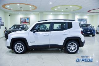 JEEP Renegade usata, con Climatizzatore