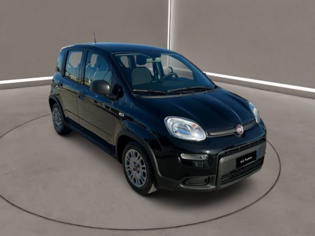 FIAT Panda usata, con ABS