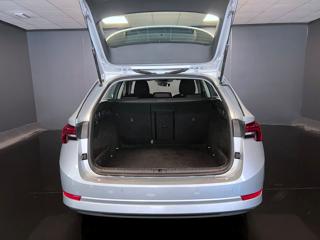 SKODA Octavia usata, con Cruise Control